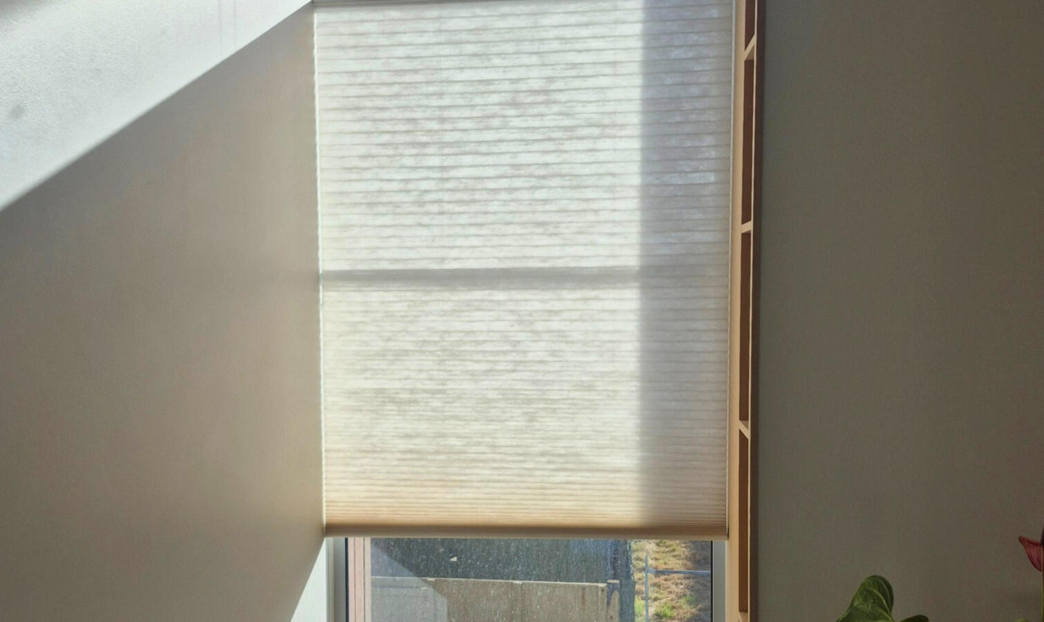 Top Down and Bottom Up Honeycomb Blind