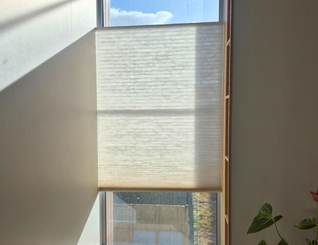 Top Down and Bottom Up Honeycomb Blind